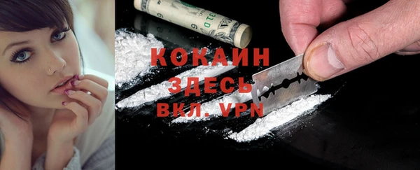 винт Абаза