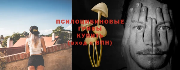 винт Абаза