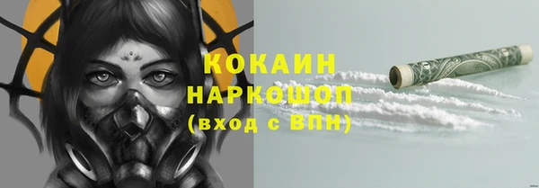винт Абаза