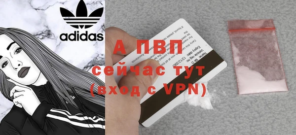 винт Абаза