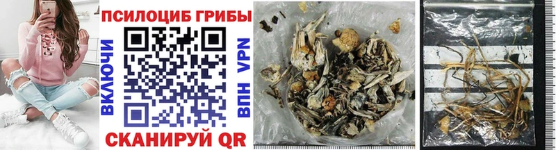 hydra как войти  Нефтеюганск  Псилоцибиновые грибы MAGIC MUSHROOMS 